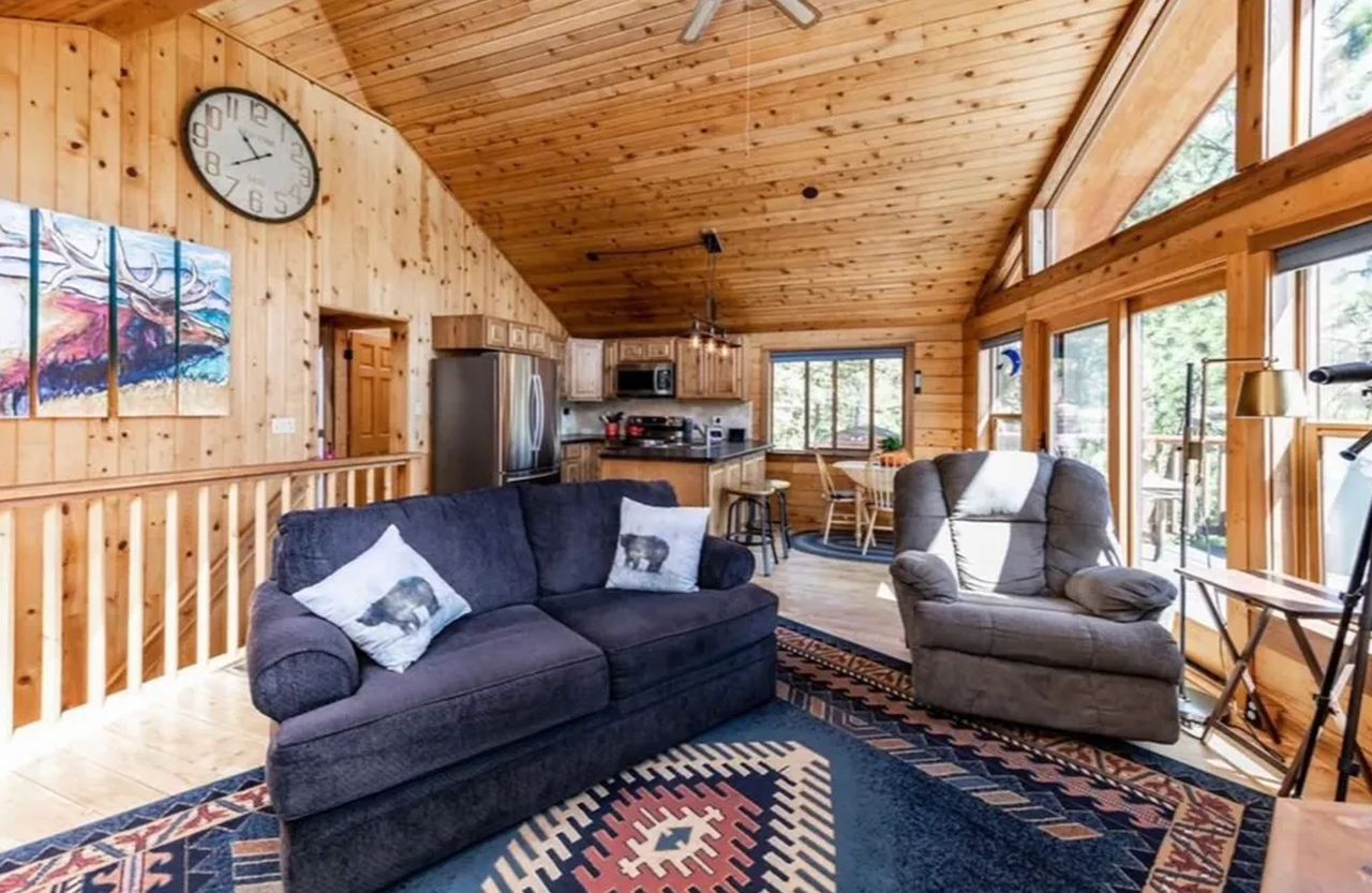 Secluded Mountain Cabin_Living Room