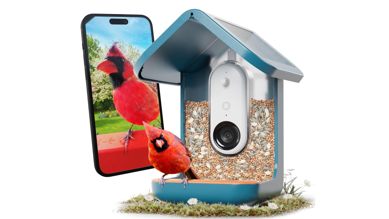 Smart Bird Feeder