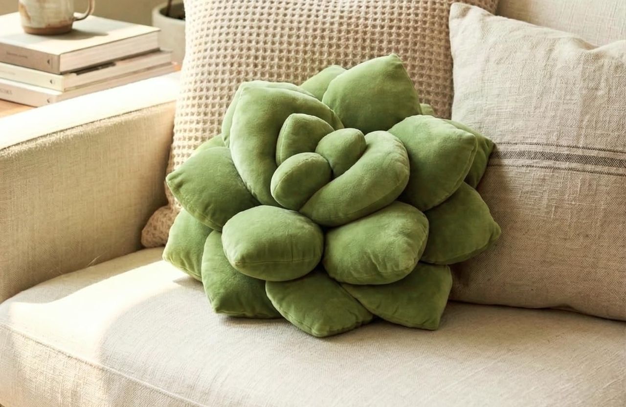 Succulent Pillow