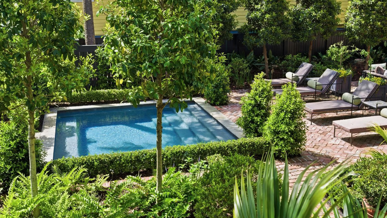The swimming pool enveloped by greenery