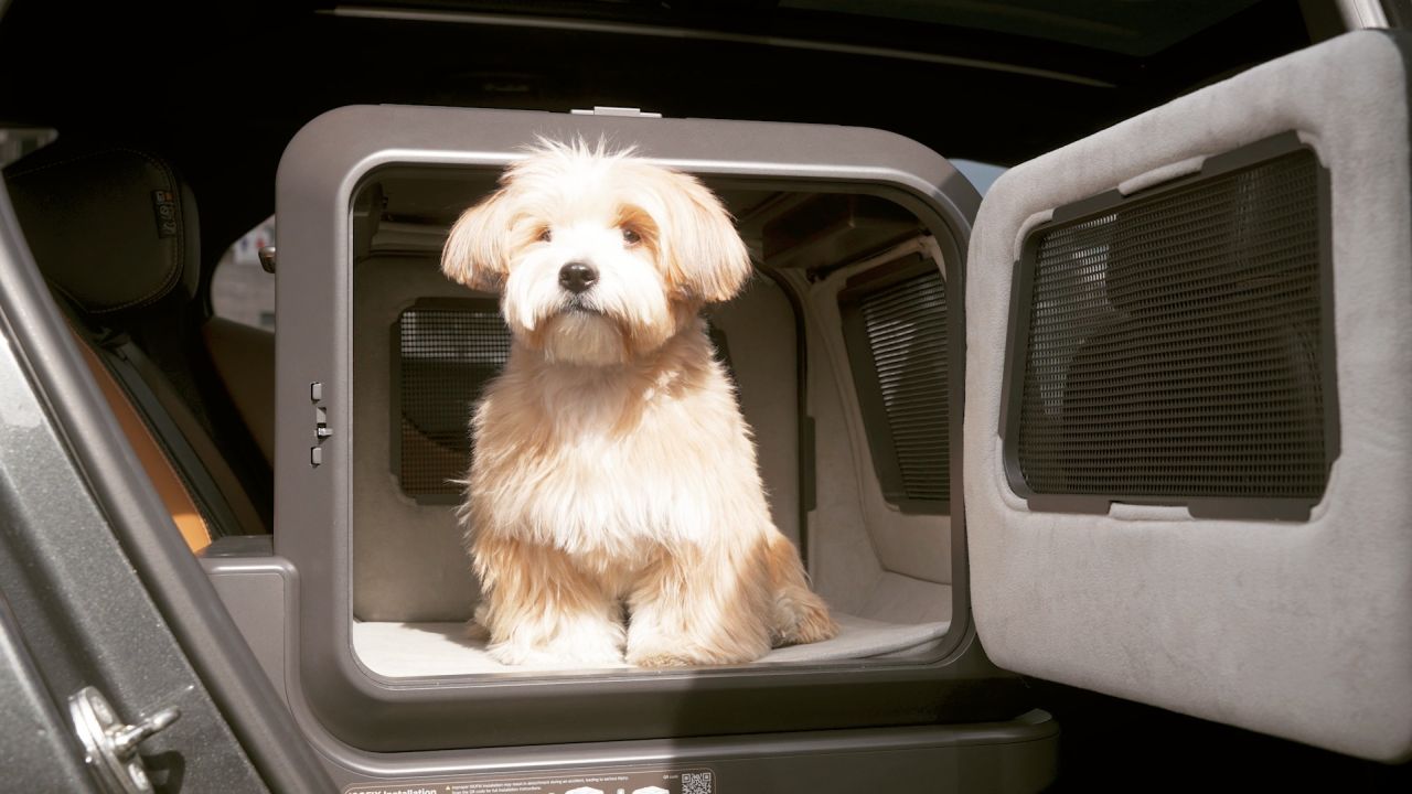 Vomer Pet Car Seat for Small Cats and Dogs