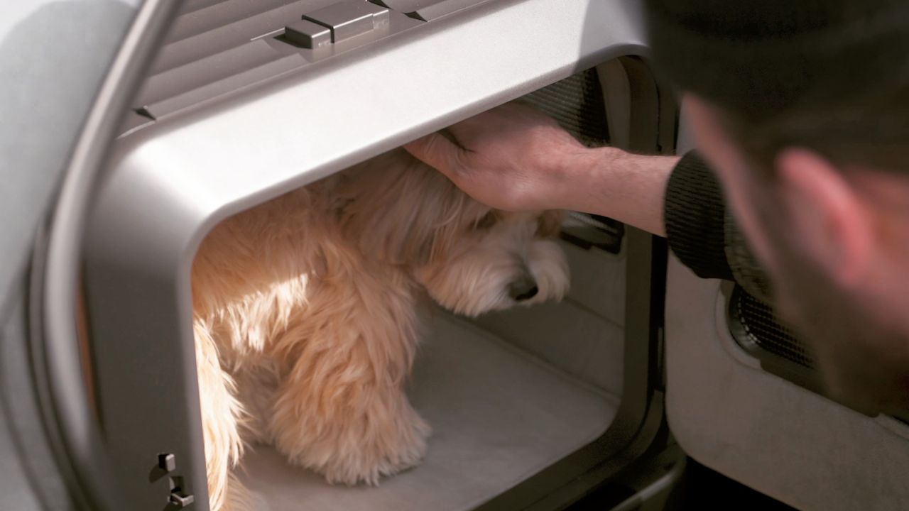 Vomer Pet Car Seat_1