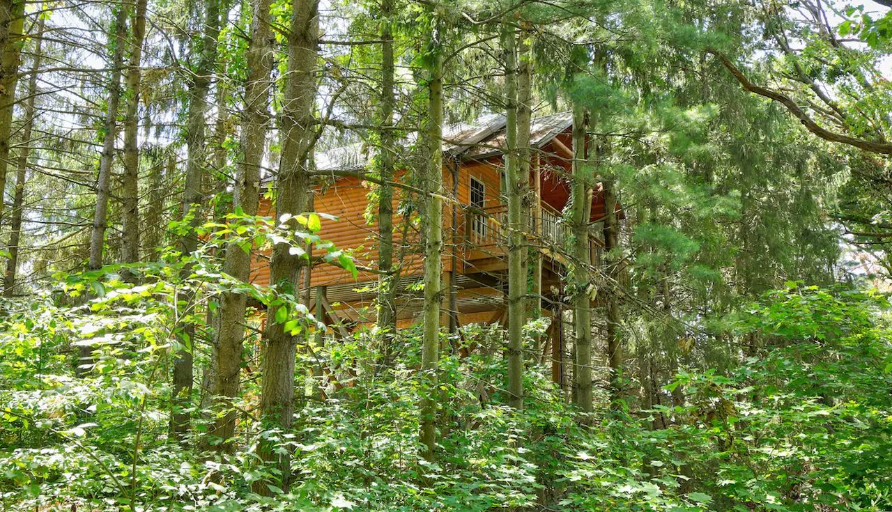 Wild Cherry Treehouse_19