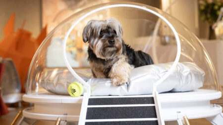 2026 Barkitecture_The Moon Rover