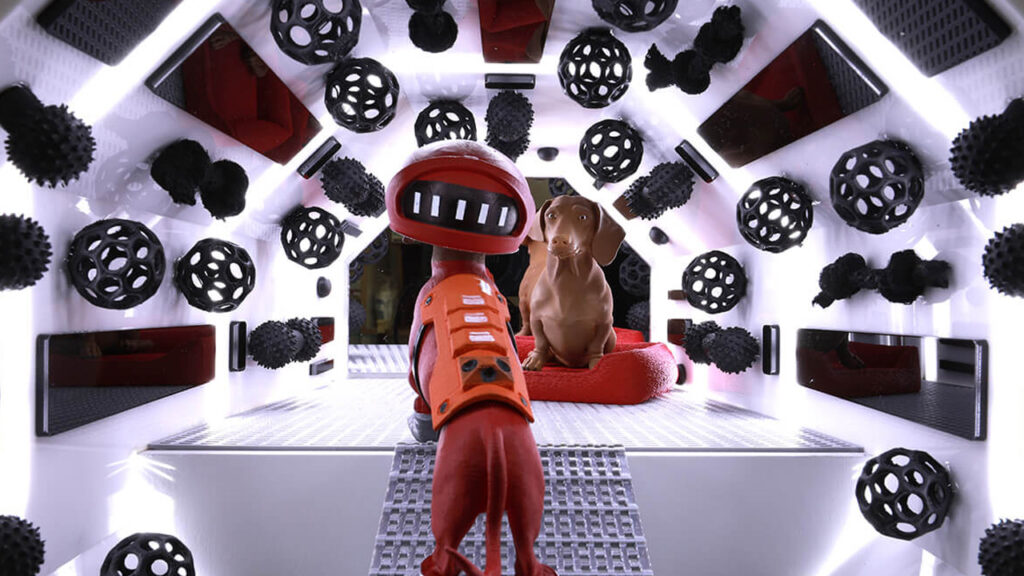 AHMM Architects Dog Kennel Explores the Bond Between Humans and Dogs