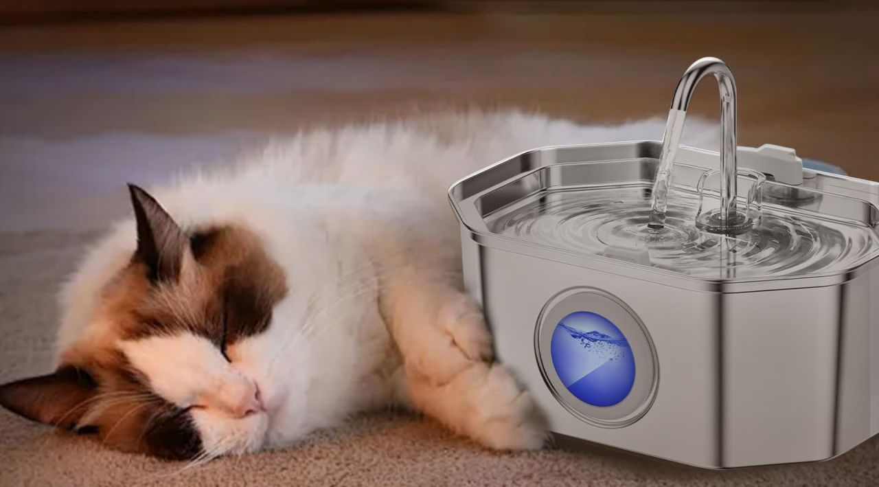 APAUK Automatic Pet Fountain