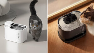 Amazon Pet Days is Here With Best Cat Water Fountain Deals for You, Grab Right Now Amazon Pet Days 2026_Best Cat Water Fountain Deals
