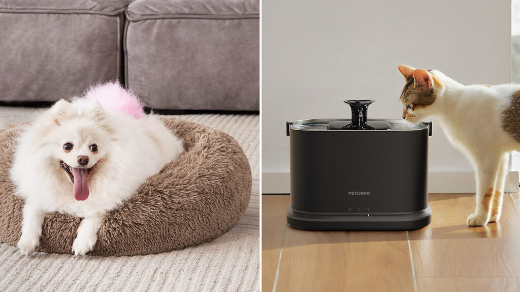 Amazon Pet Days Sale 2026_Best Deals on Pet Products