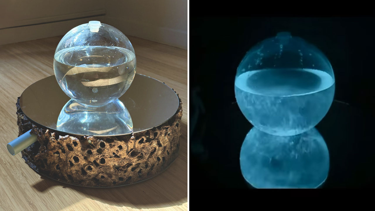 Ardora-Living-Algae-Lamp-by-Lolo-Ostia-at-NYCxDesign-2026