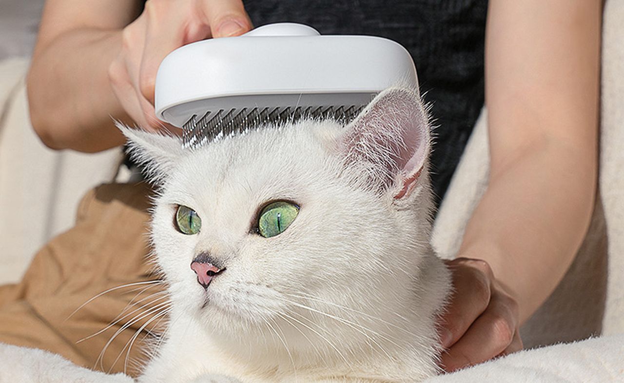 Aumuca Cat Brush for Shedding