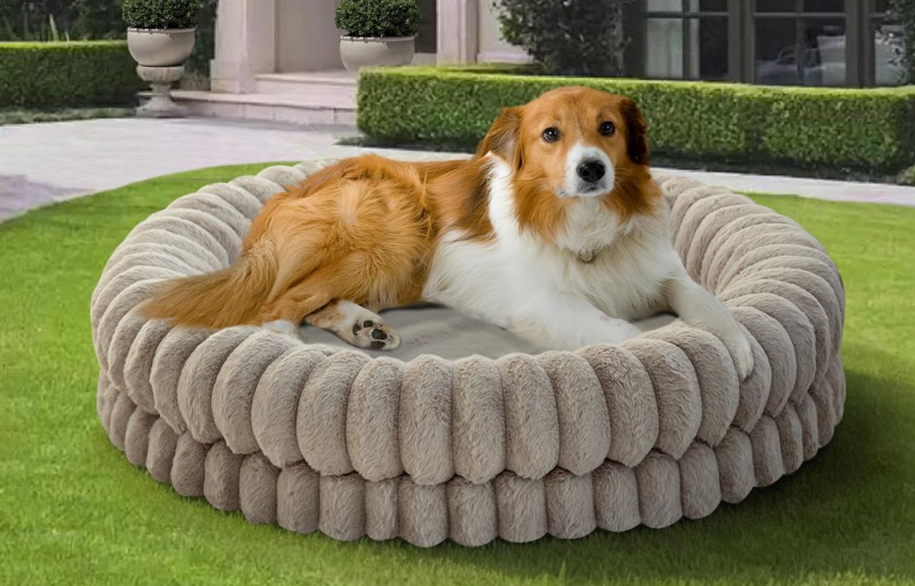 BALANCE Luxury Donut Dog Bed