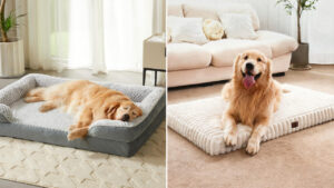 Best Dog Bed Deals to Grab From Amazon Pet Days 2026