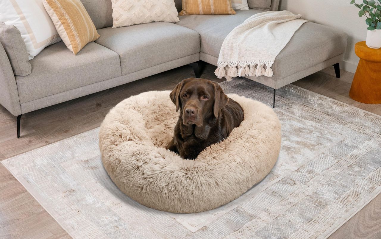 Best Friends by Sheri Donut Dog Bed