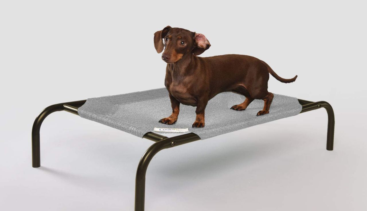 Coolaroo Original Elevated Dog Bed