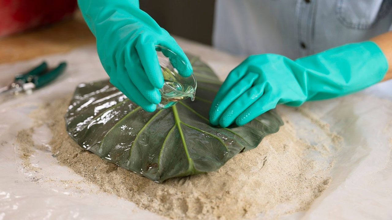 slowly pour oil on leaf to make it easier to peel off the concrete