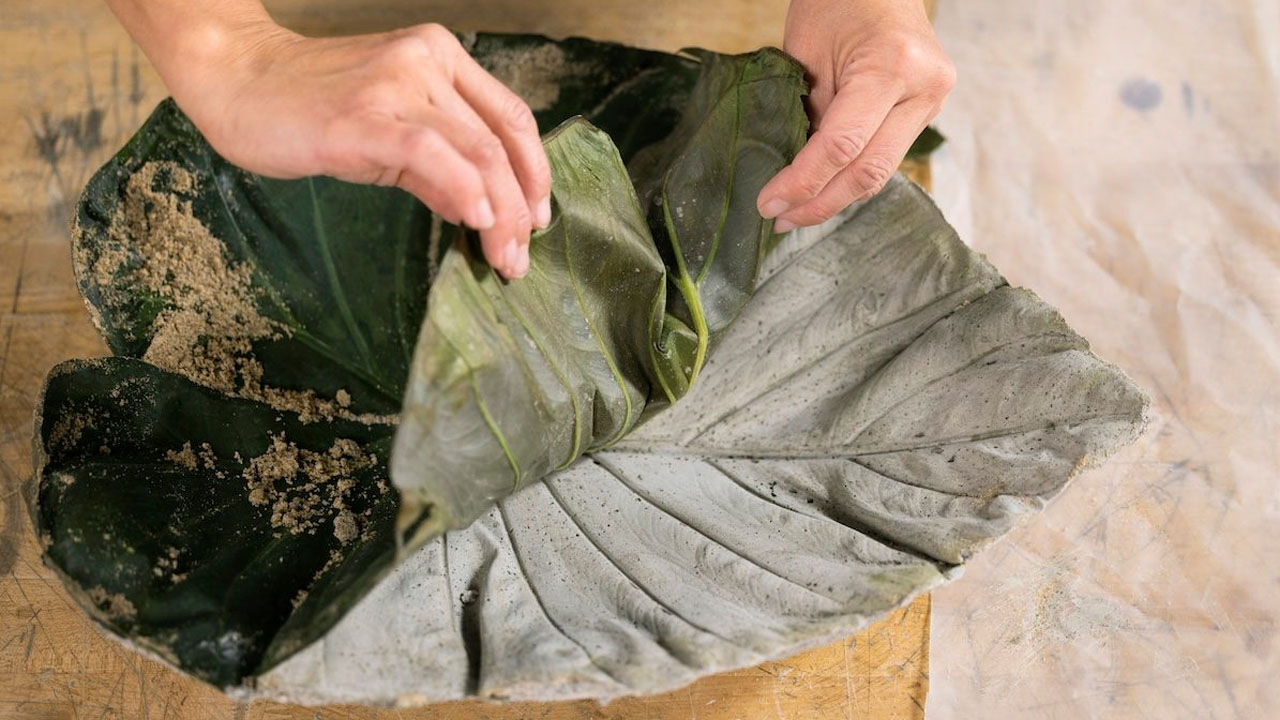 The concrete captures intricate beauty of leaf beautifully.