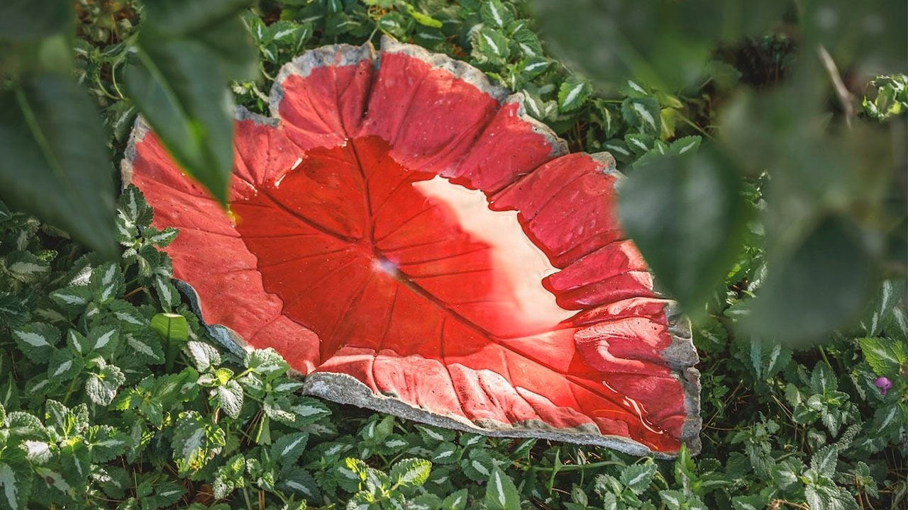 The DIY concrete leaf birdbath looks like a garden décor piece.