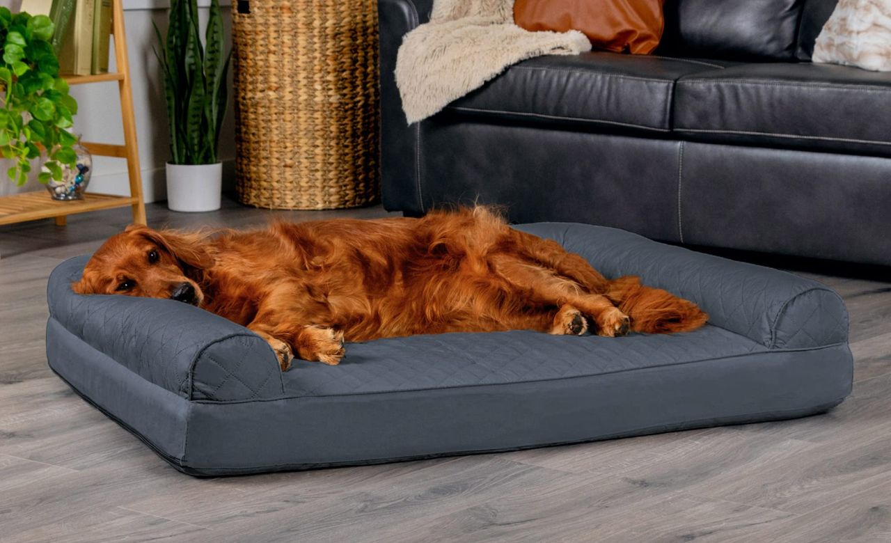 FurHaven Dreamer Sofa Orthopedic Dog Bed