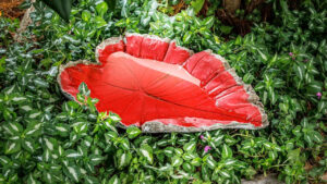 How to DIY Concrete Leaf Birdbath and Sculpt Intricate Foliage Into Functional Décor Piece How to DIY Concrete Leaf Birdbath and Sculpt Intricate Foliage Into Functional Décor Piece