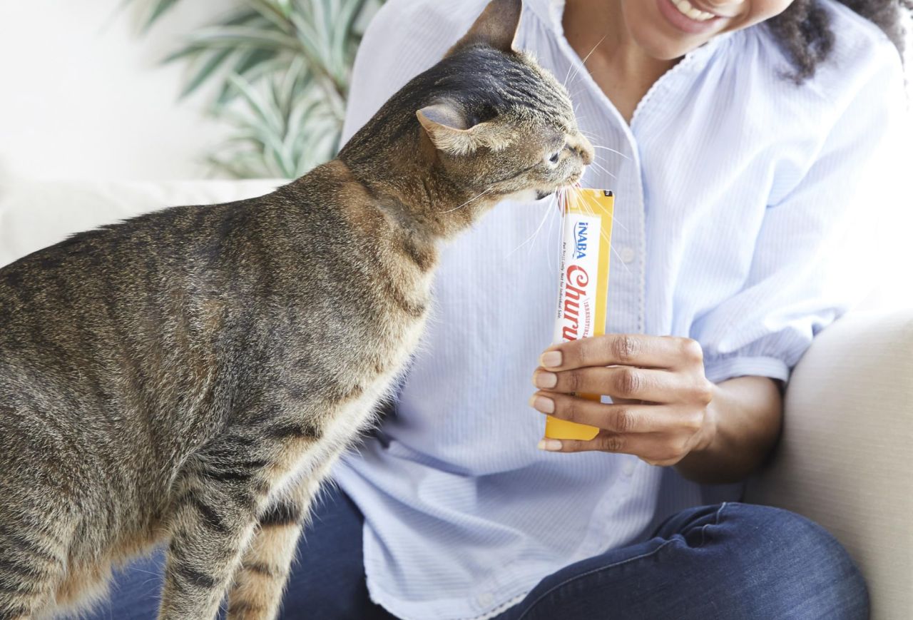 INABA Churu Cat Treats
