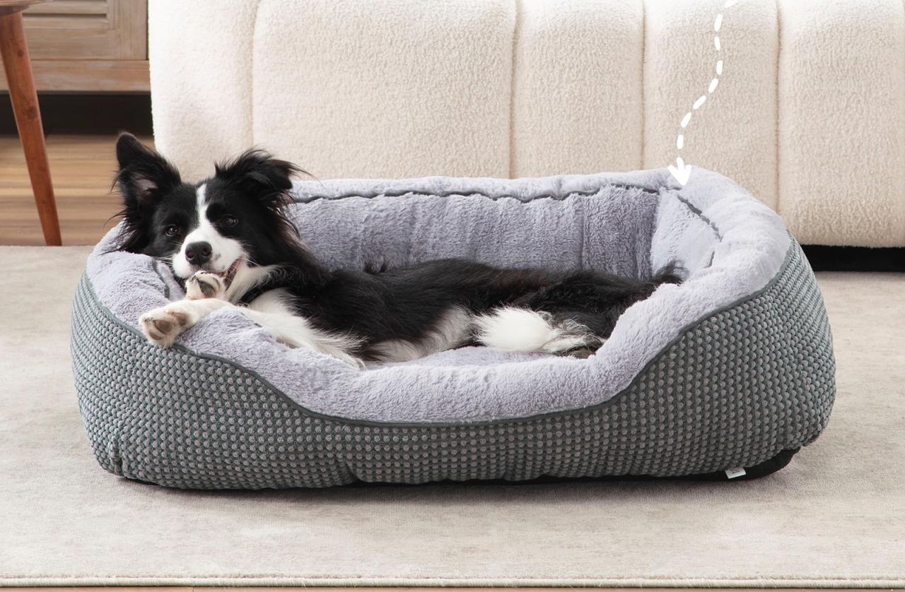 INVENHO Medium Dog Bed