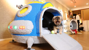 LEGO Group Joins Barkitecture for the First Time With U-Woof-O Dog Kennel