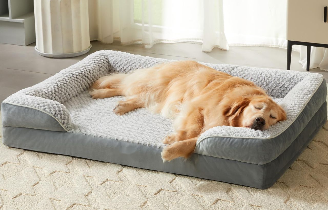 LEXTRO Orthopedic Dog Bed