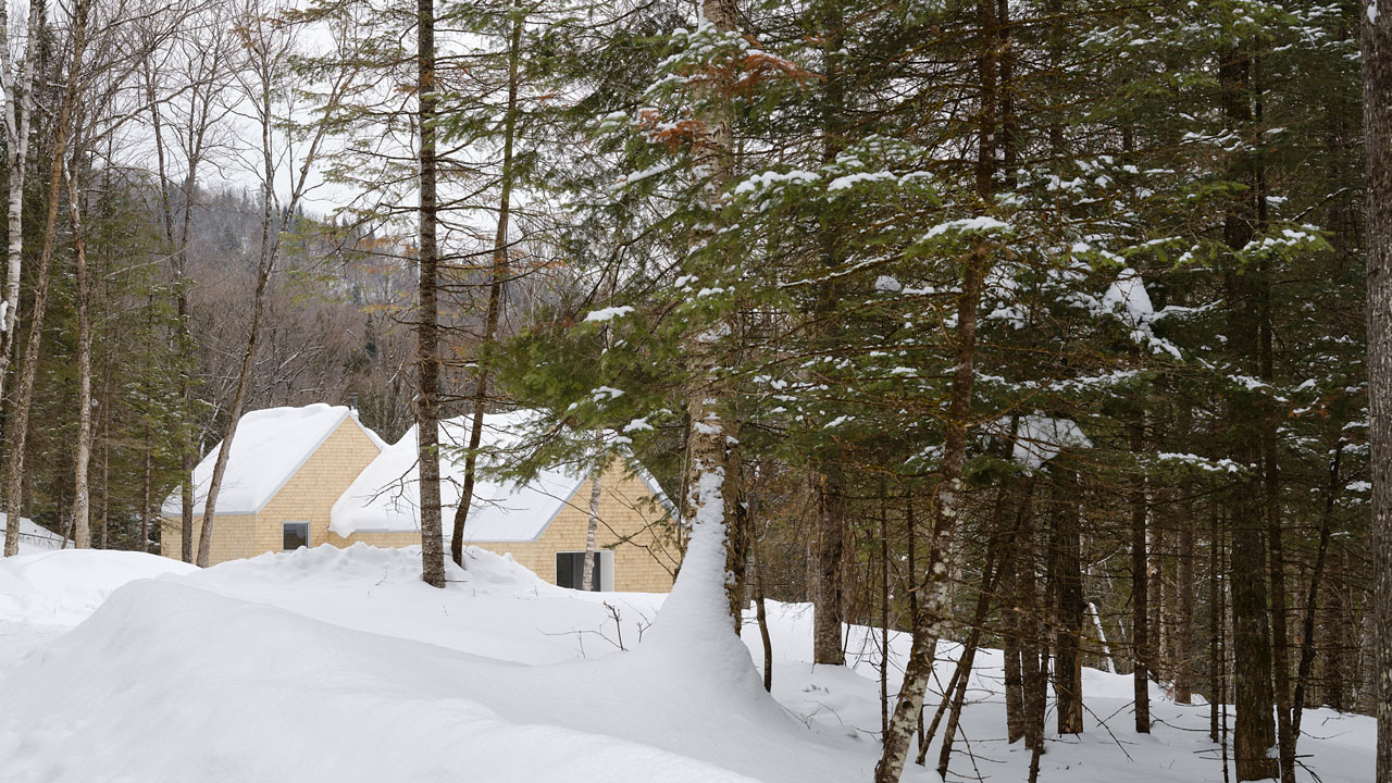 The biophilic design of the house exudes organic charm.