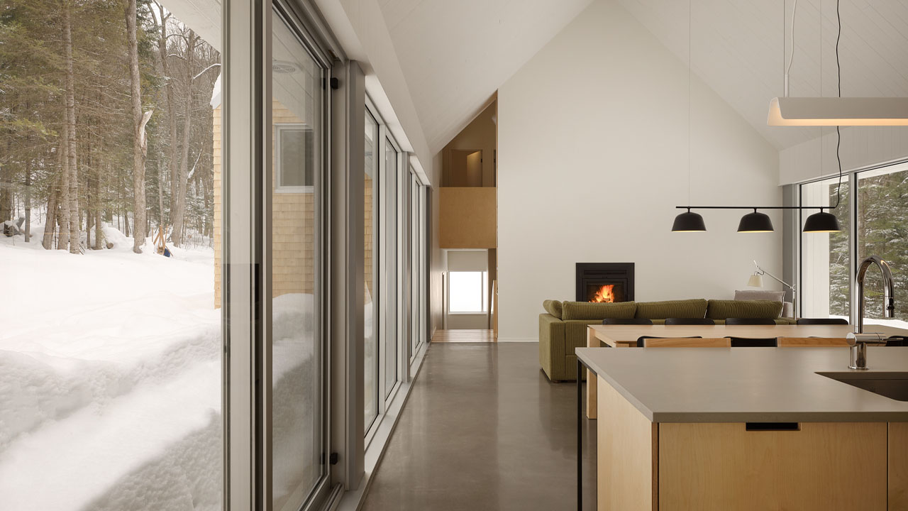 expansive glazing brings forest indoors