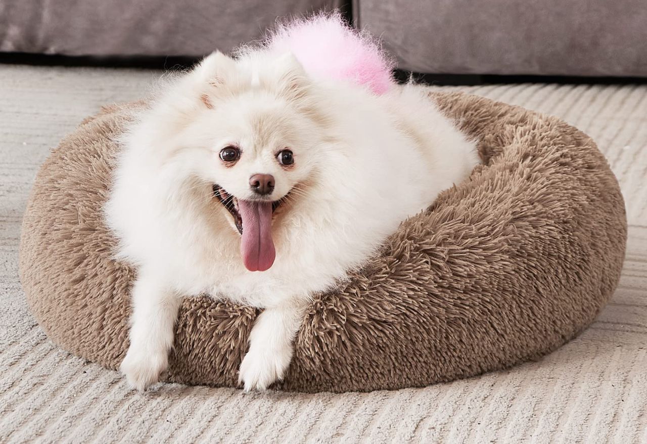 MIXJOY Orthopedic Dog Bed