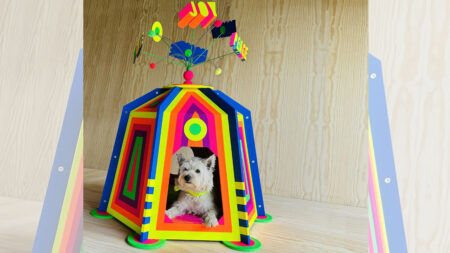 Morag-Myerscough-and-Luke-Morgan_Colorful-Adventurer-Dog-Kennel