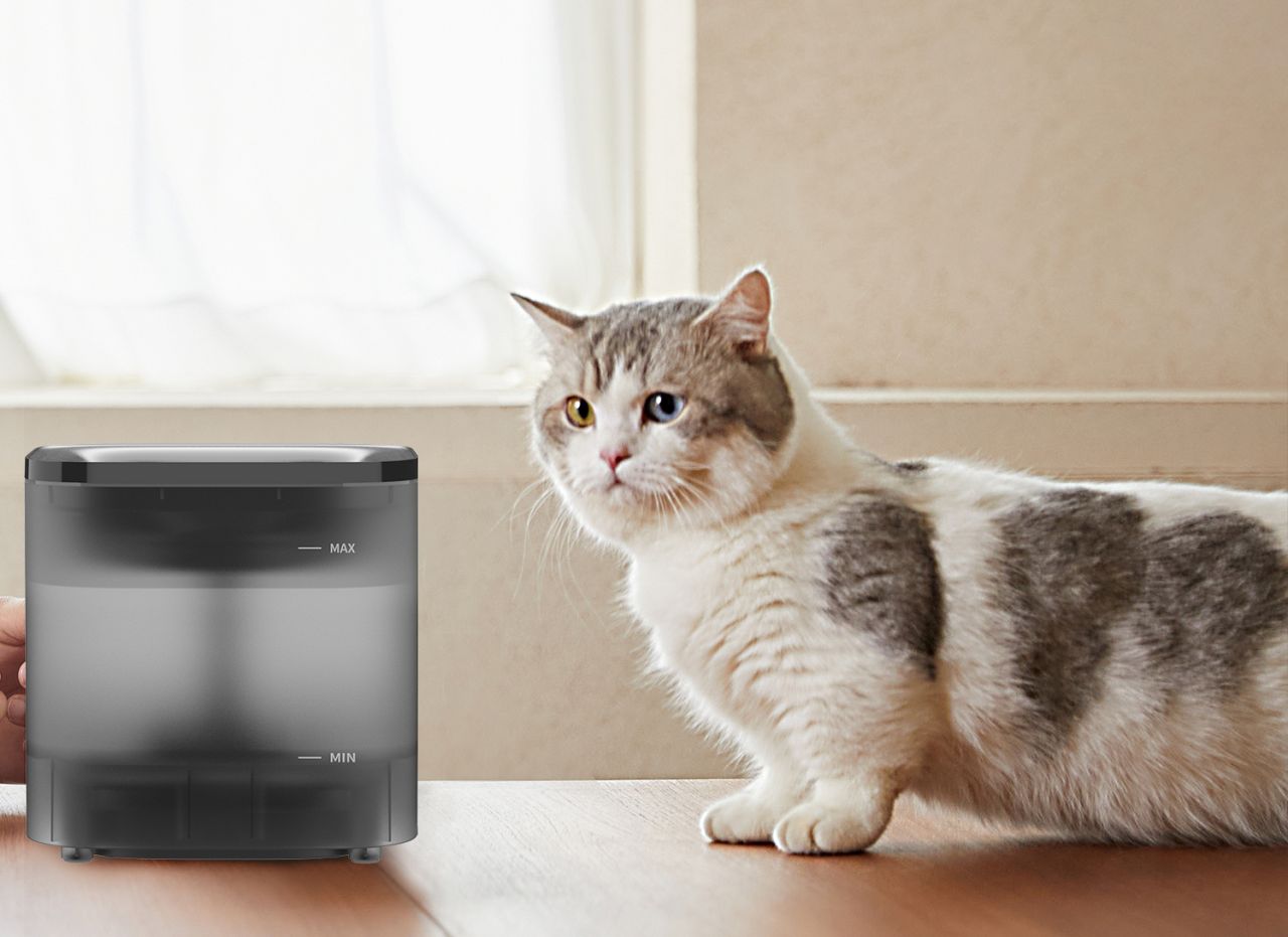 PETKIT New Cat Water Fountain