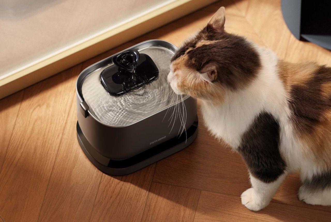 PETLIBRO Cat Water Fountain
