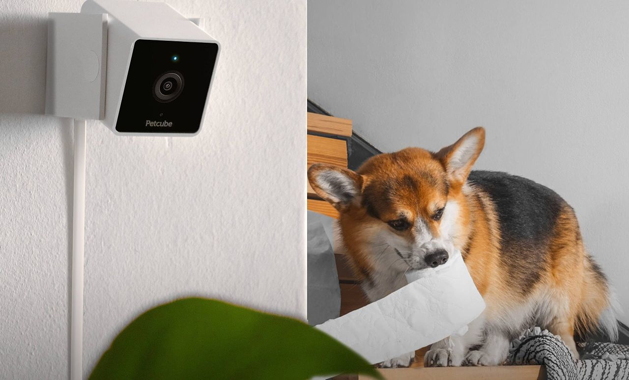 Petcube Cam Indoor Home Security Camera