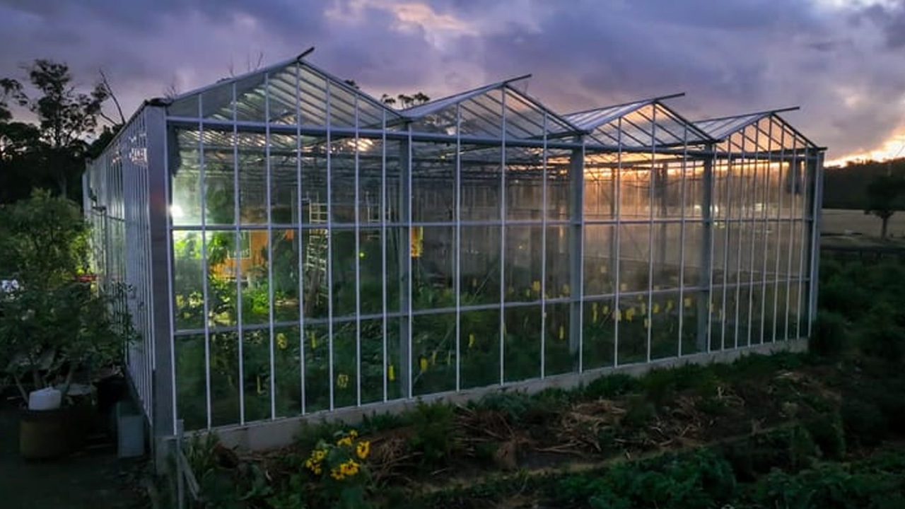 Rainer's Tiny House Inside a Greenhouse