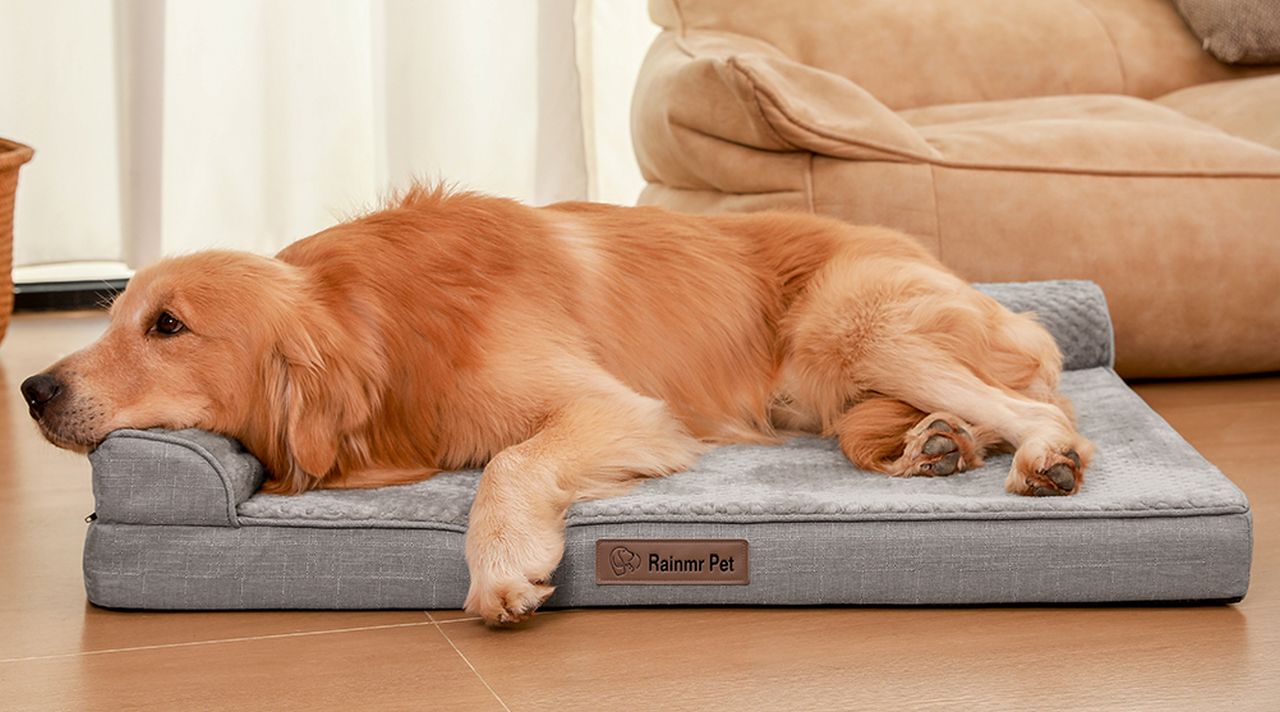 Rainmr Orthopedic Dog Bed