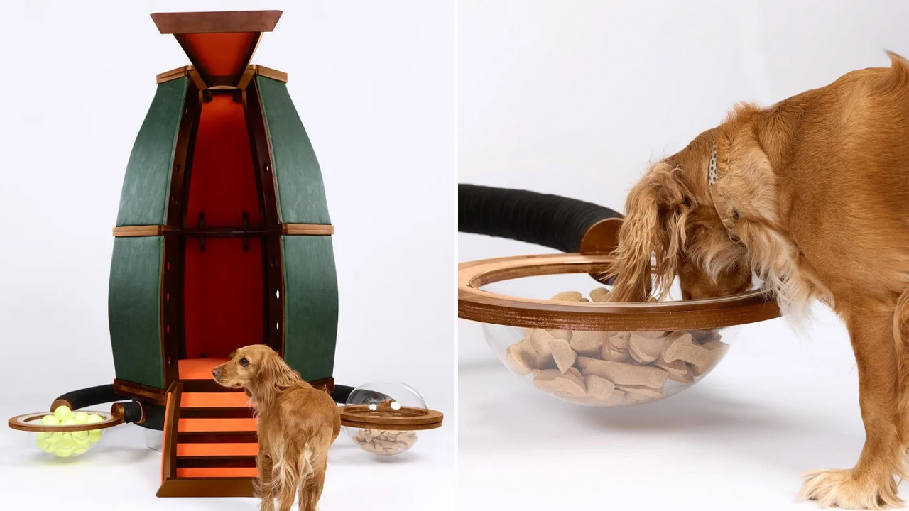 Randell Design Group_The PAWDyssey_1