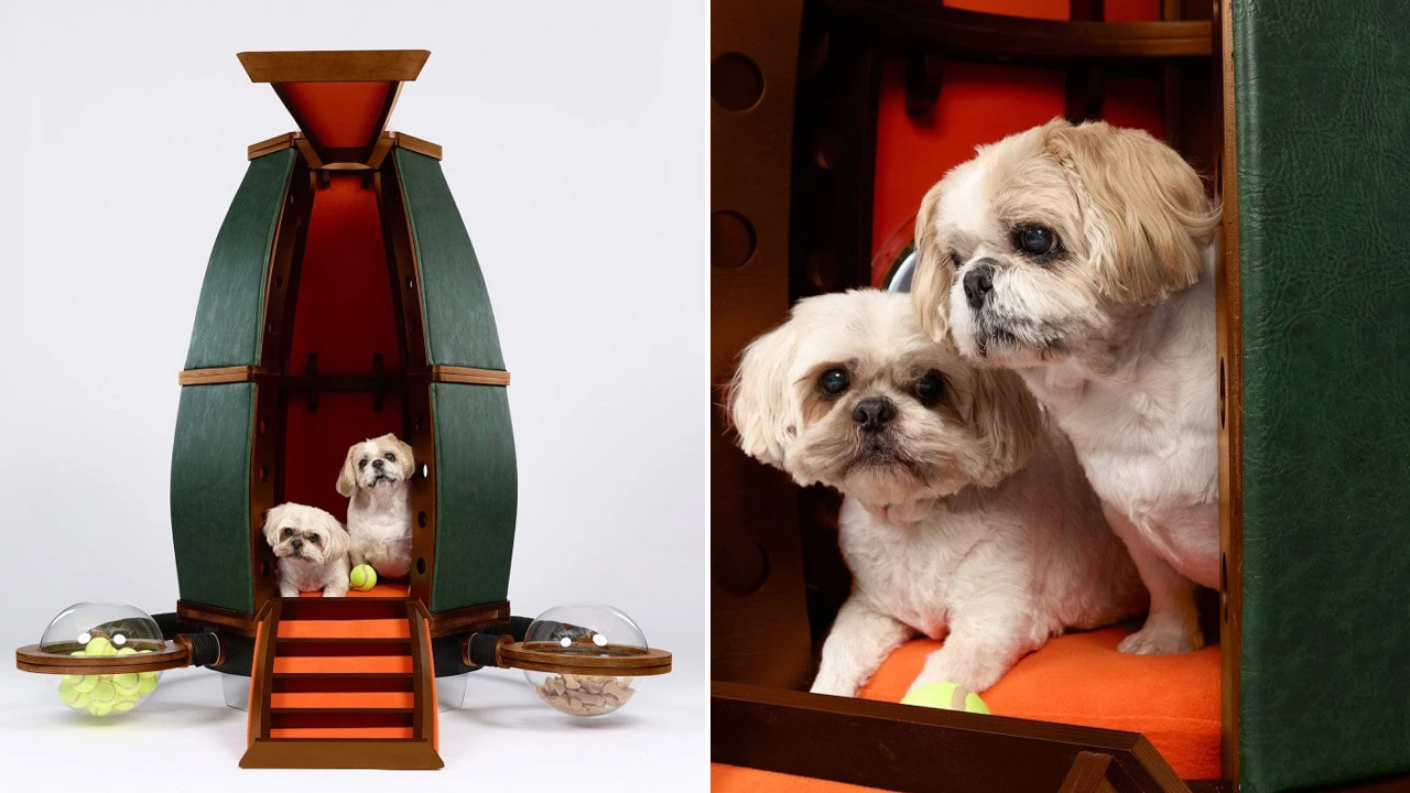 Randell Design Group_The PAWDyssey_2