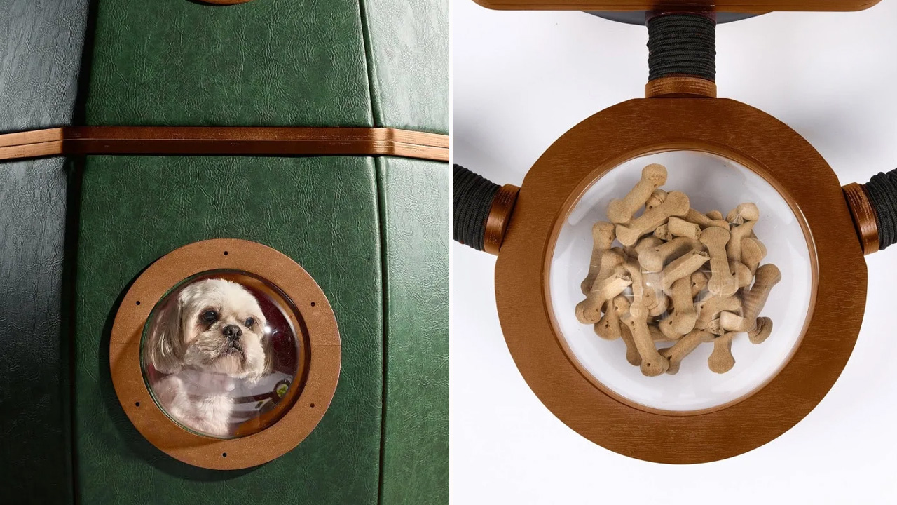 Randell Design Group_The PAWDyssey_4