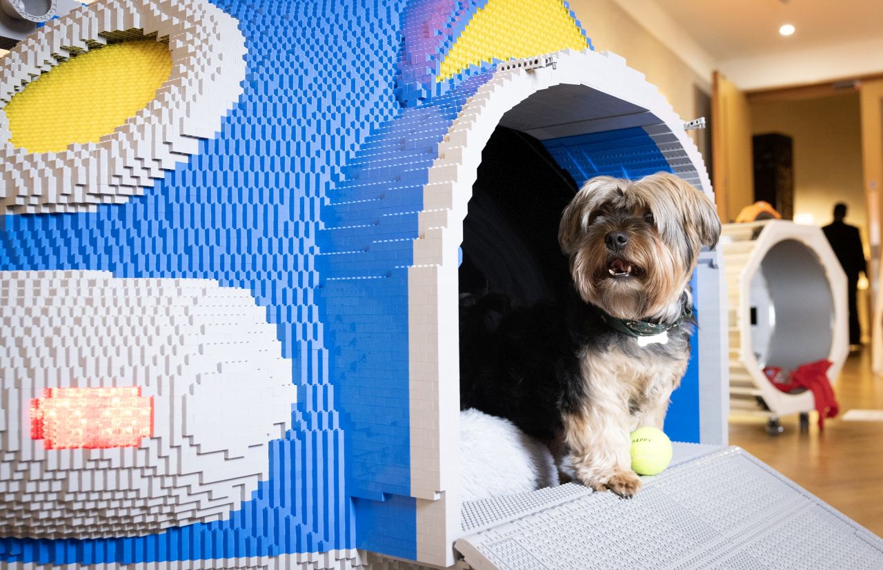 The LEGO Groups U-Woof-O created by Fairy Bricks_6