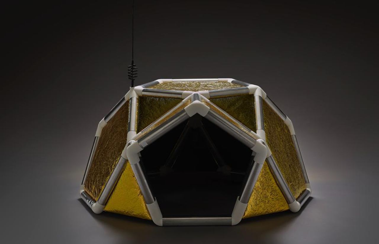 The Moon Dog for 2026 Barkitecture_1