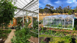 This Man Built Massive Tiny House Inside Greenhouse, Taking Sustainability to Another Level