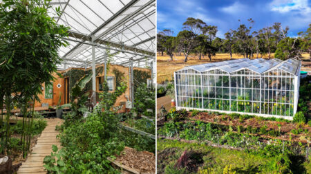 This Man Built Massive Tiny House Inside Greenhouse, Taking Sustainability to Another Level