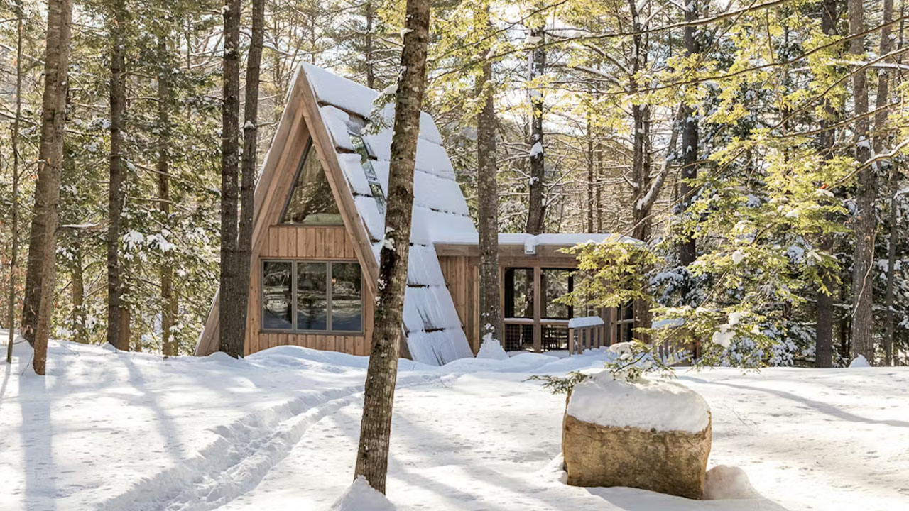The tiny A-frame cabin merges with the forested landscape
