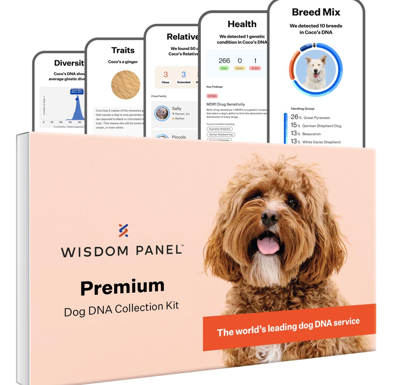 Wisdom Panel Premium Dog DNA Kit