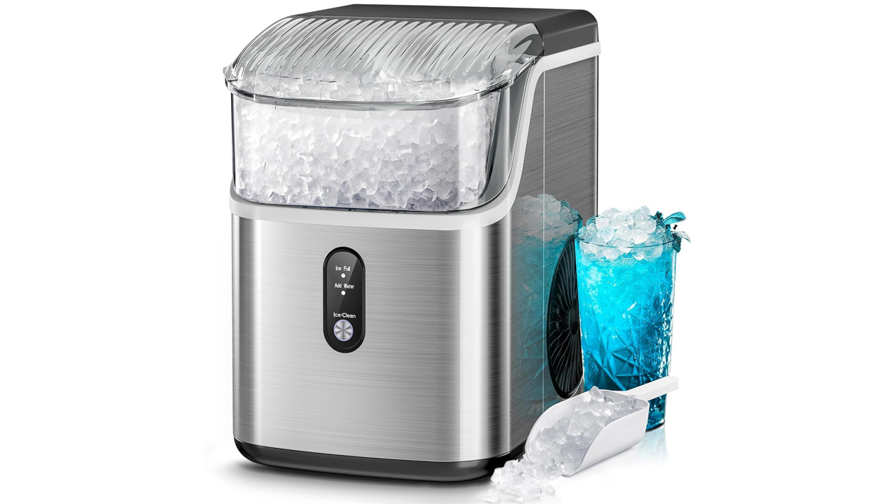 Ice maker