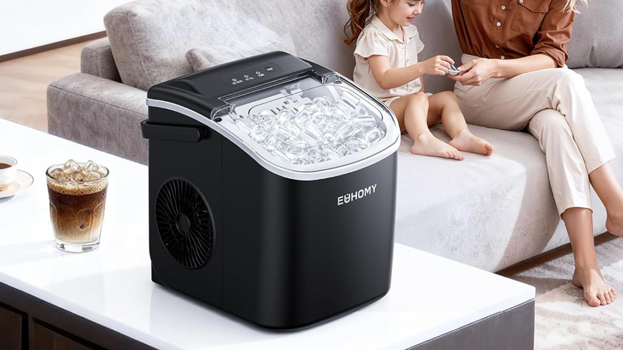 Ice maker
