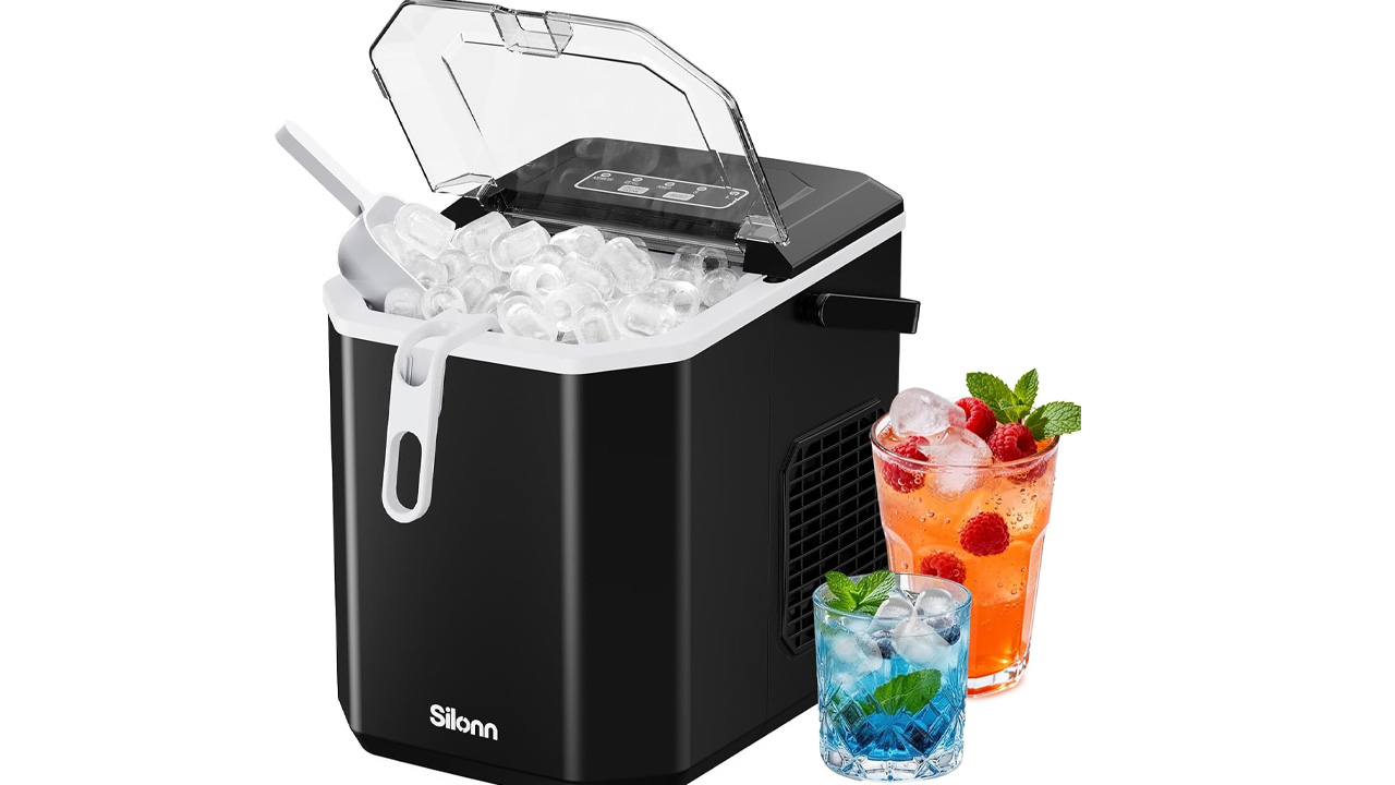 Ice maker