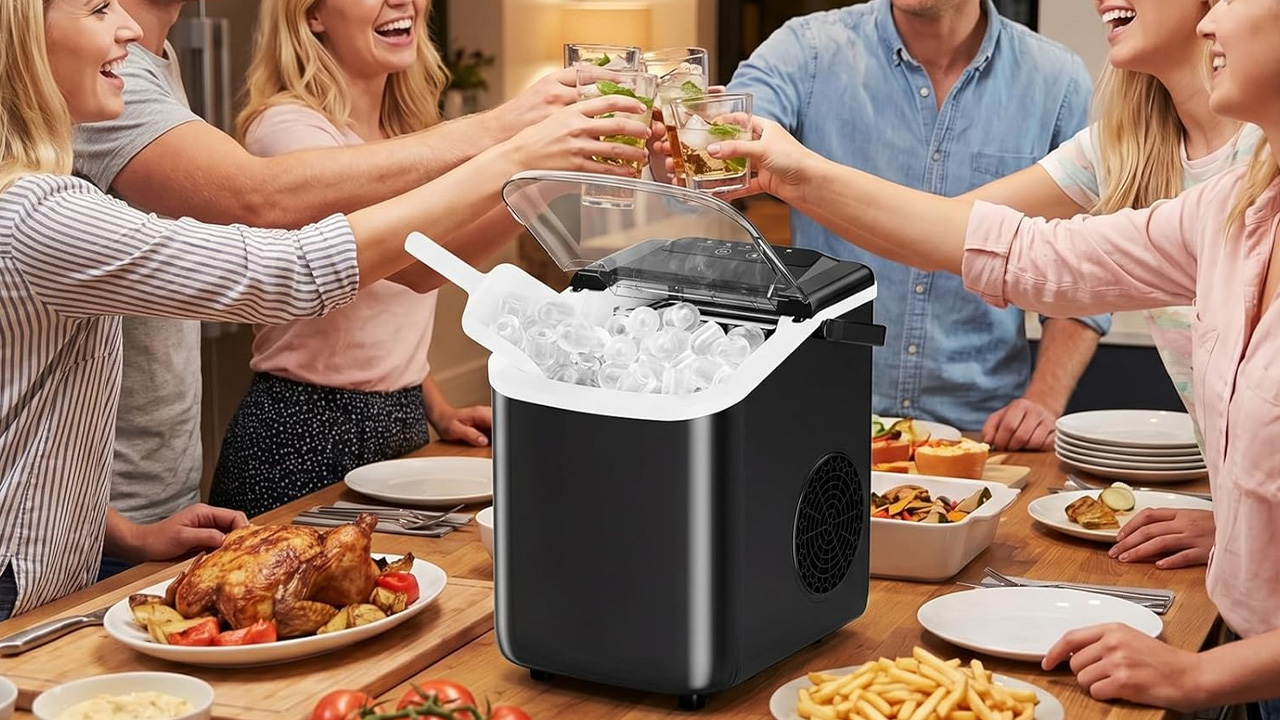 Ice maker
