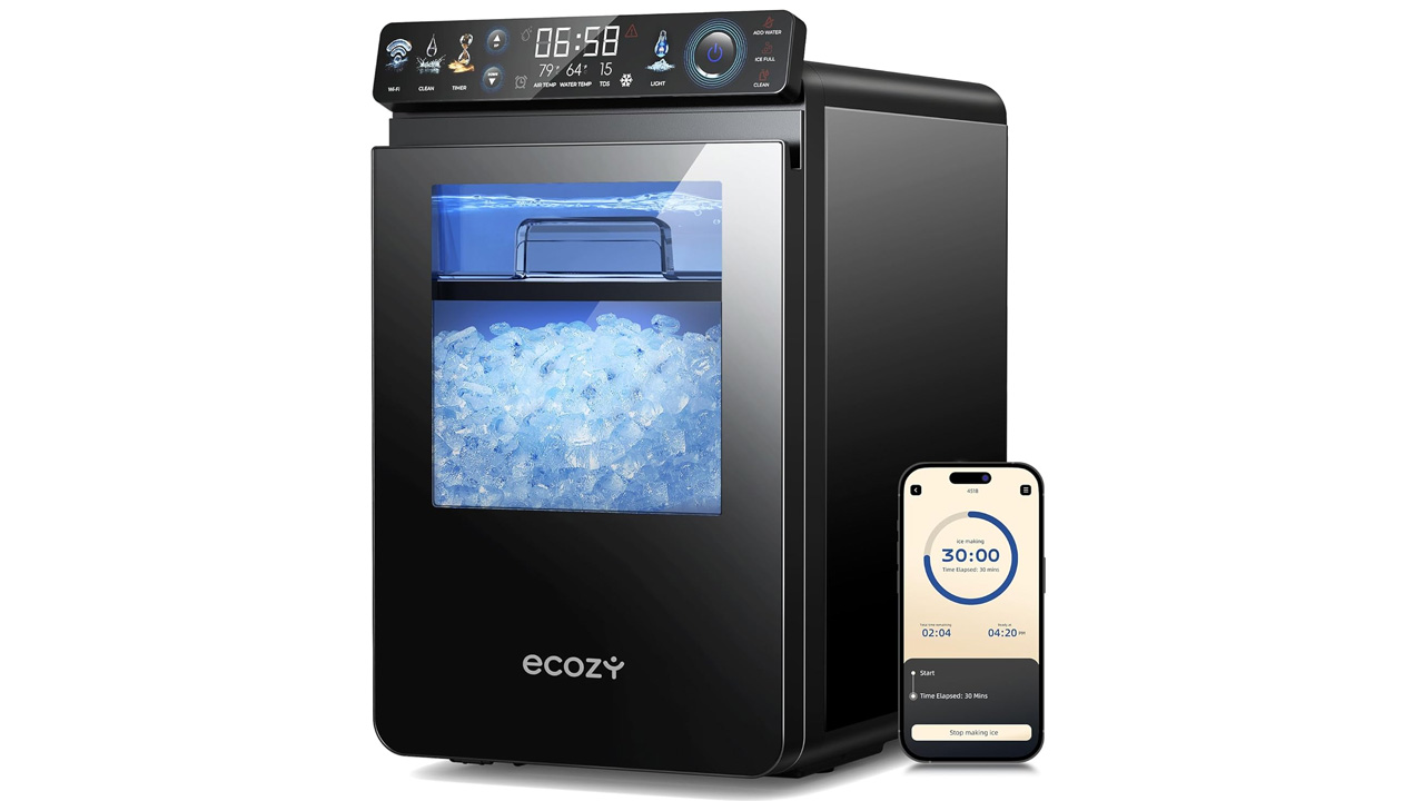 Ice maker